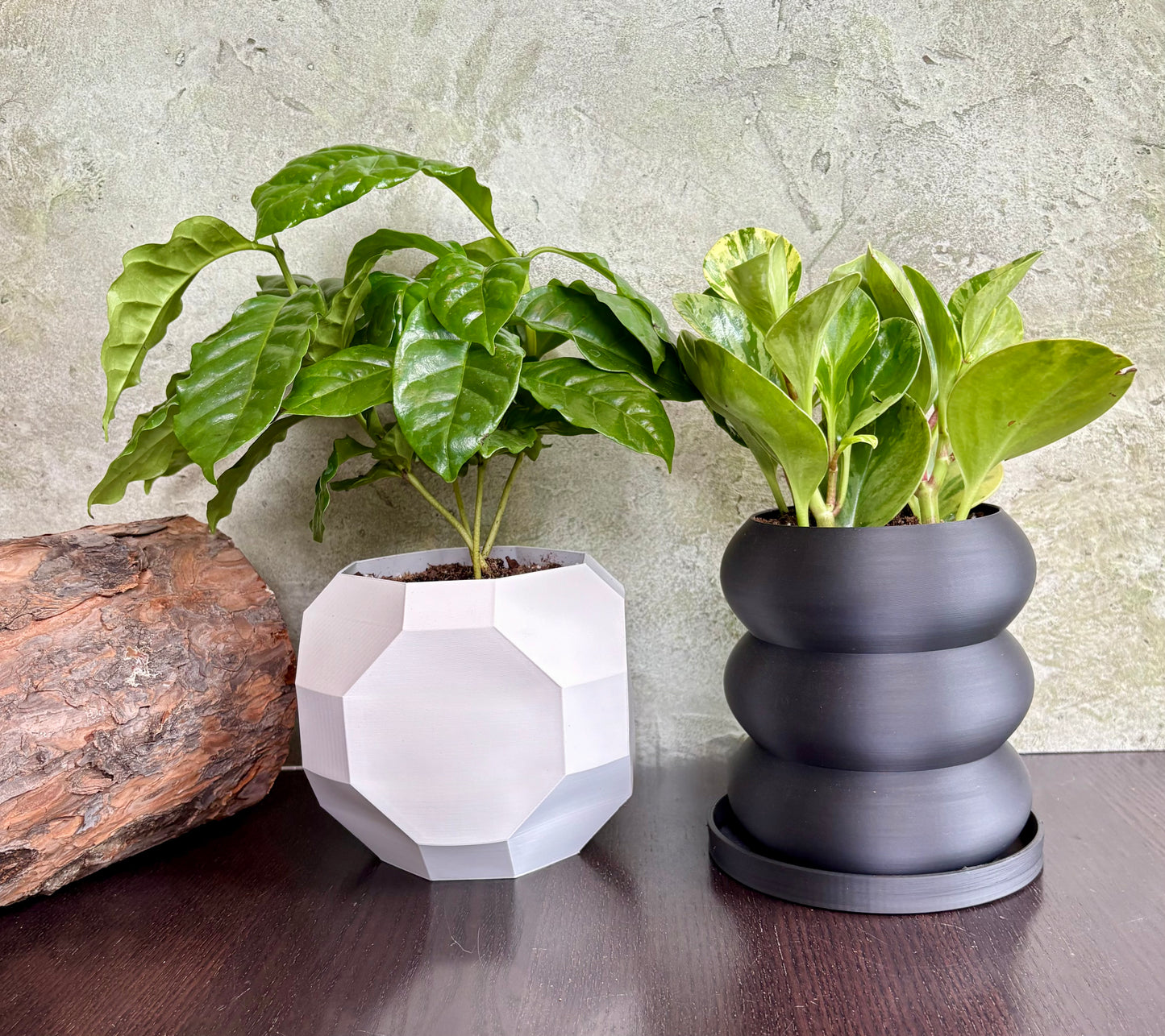Geo Planter