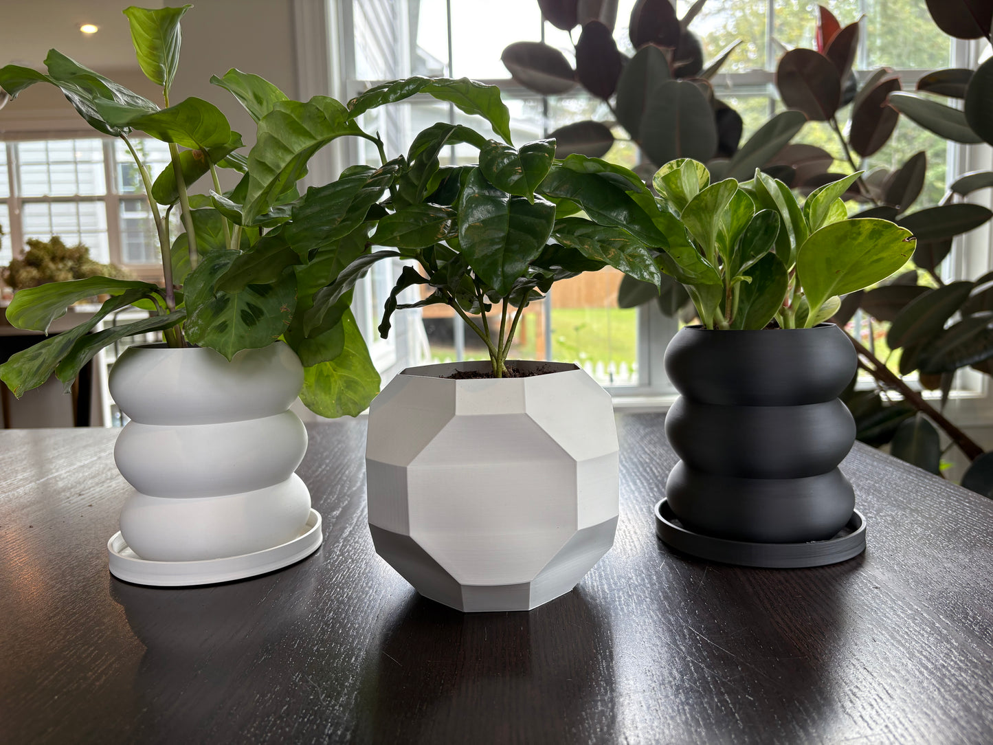 Geo Planter