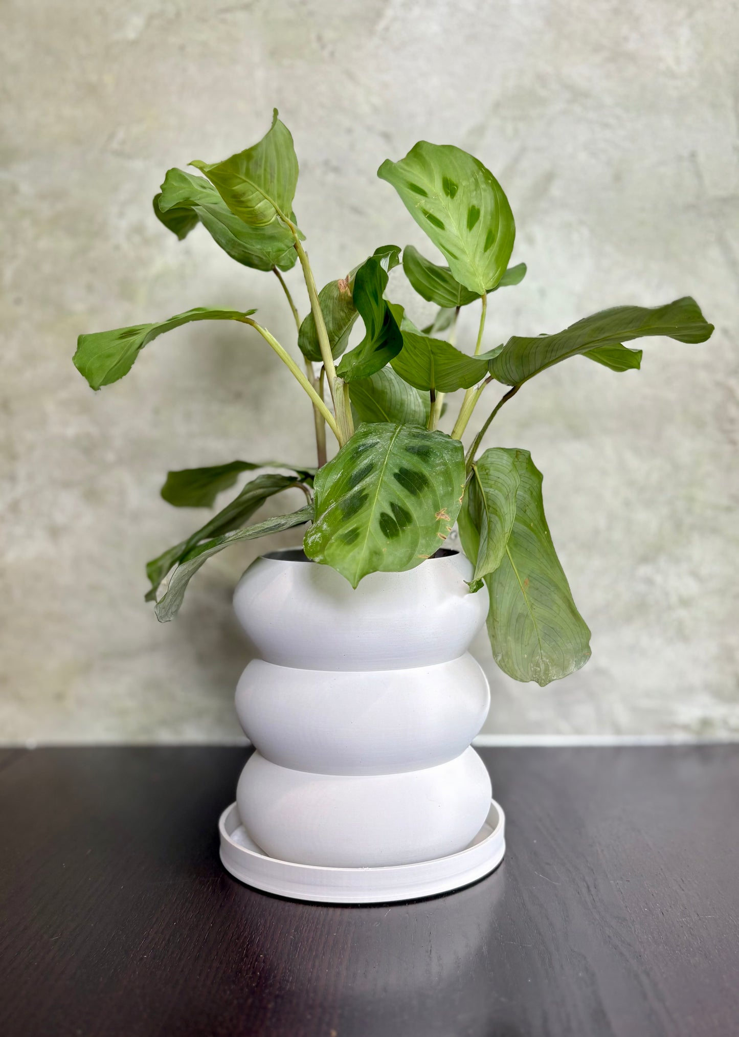 Ripples Planter