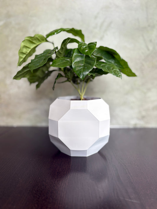 Geo Planter